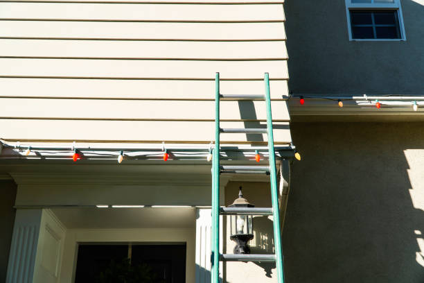 Best Custom Siding Design  in South San Jose Hills, CA